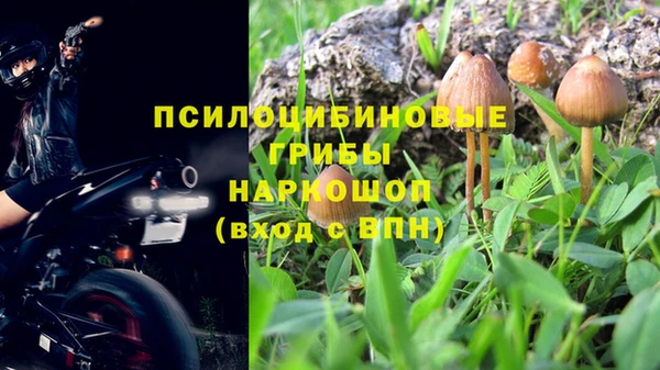 трава Абаза