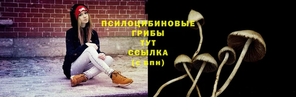 крисы Абдулино