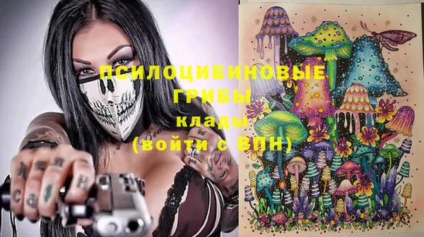 крисы Абдулино