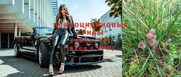 трава Абаза